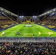 九游娱乐APP-本田岬老师中的表现评价